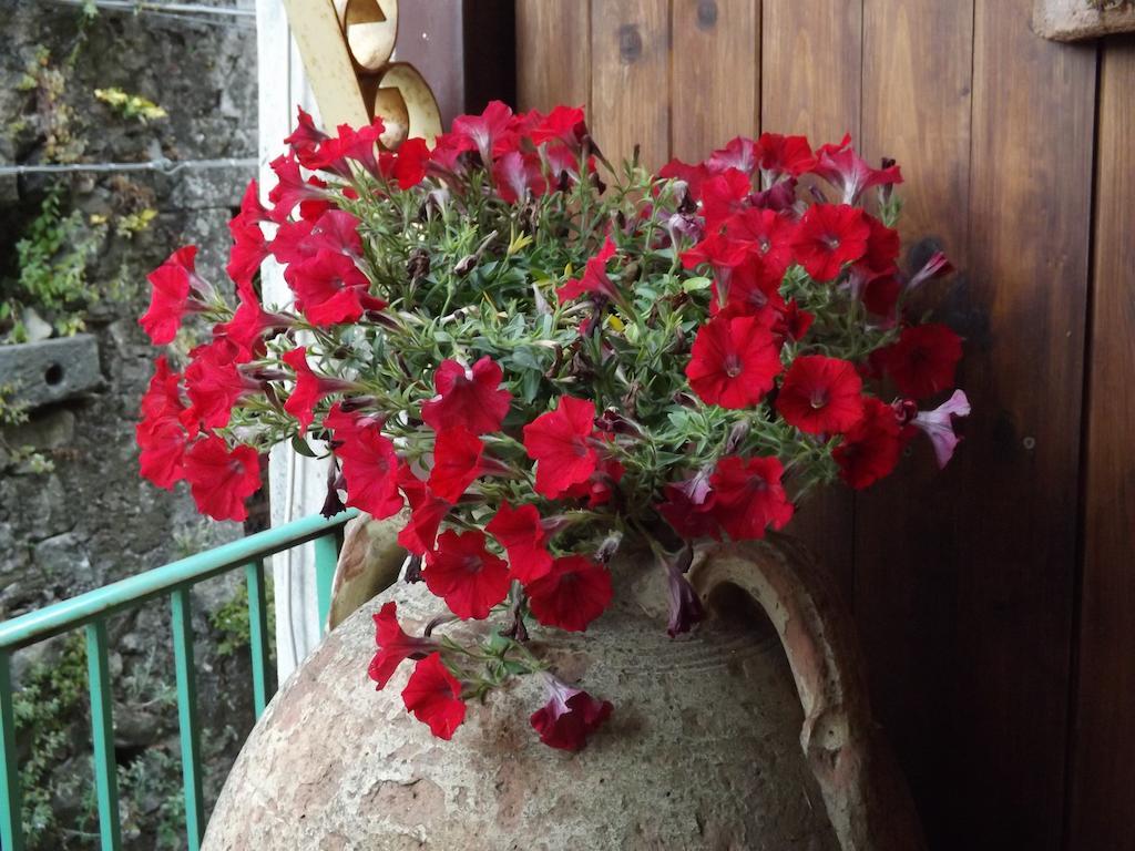 Albergo Diffuso Borgo Santa Caterina "Vintage" Castiglione di Sicilia Kültér fotó